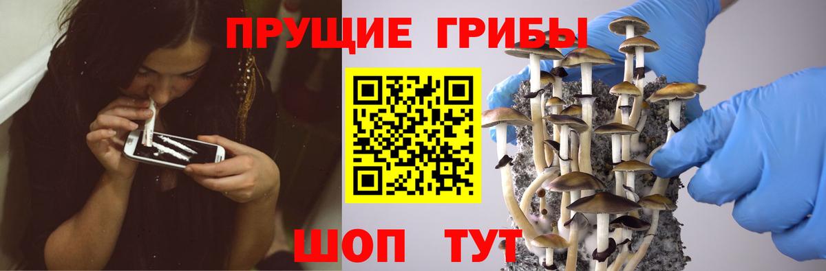 Галлюциногенные грибы Cubensis Наро-Фоминск